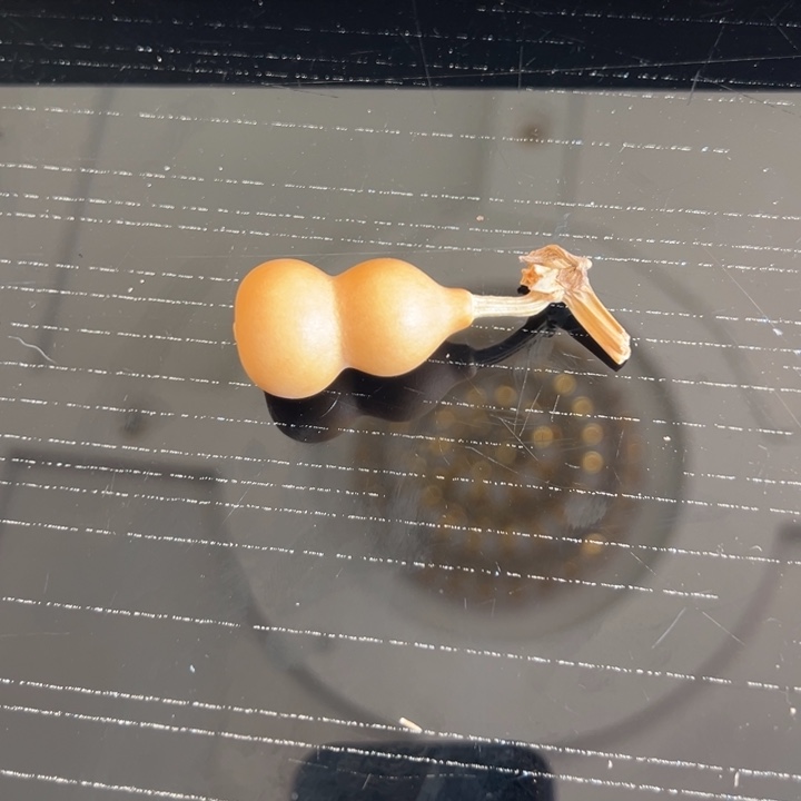 太****•拍品葫芦不退不换