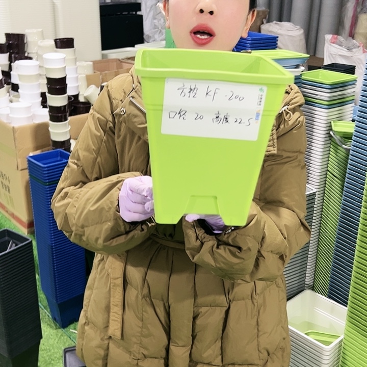 正品方盆口20高22果绿6只无托