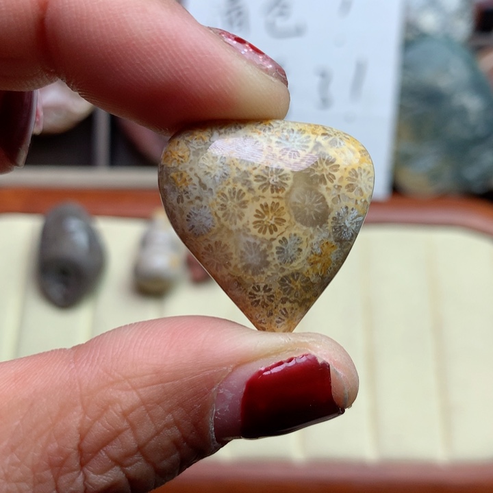 硅化珊瑚（珊瑚玉）颈饰足银镀金镶嵌