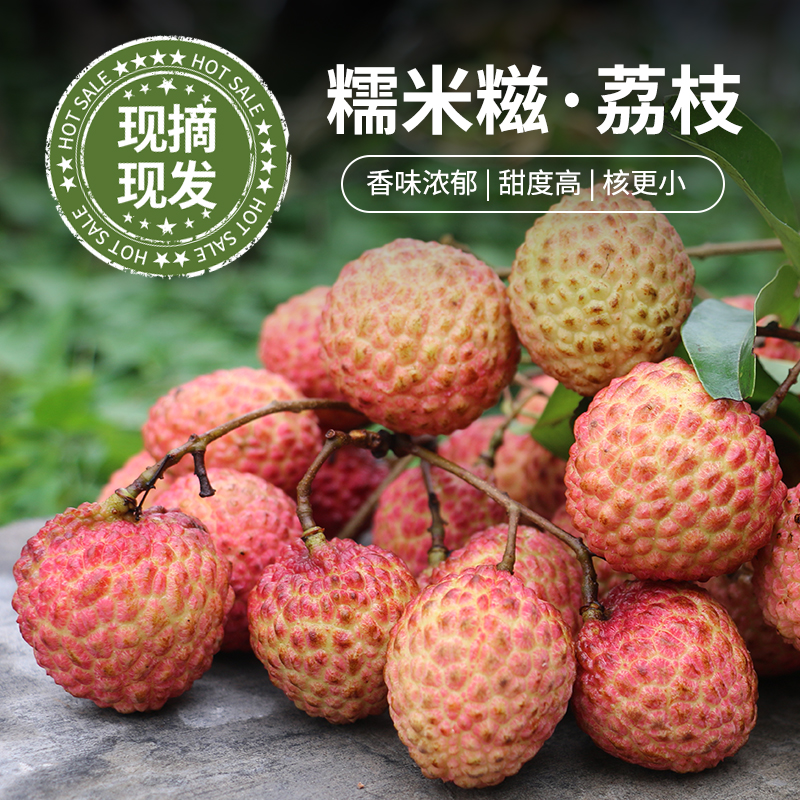 东莞老树荔枝 糯米糍  桂味 圣茵自家果园现摘 北方地区可拍