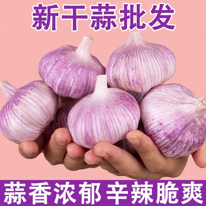 5斤金乡大蒜】干蒜大蒜多瓣蒜紫白皮蒜晒够36天蒜香浓郁5斤批发