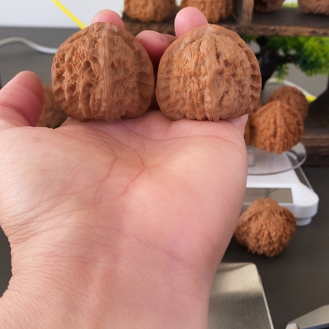 文玩核桃把件红皮老树白狮子骨直好