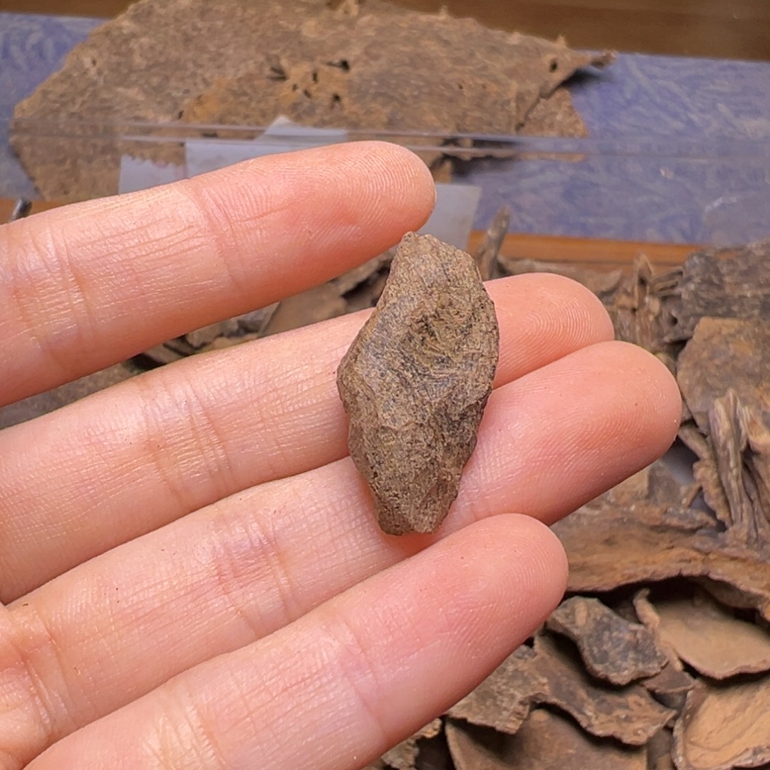 方***数沉香沉香碎屑海南大山沉水熟结老包头0.9克