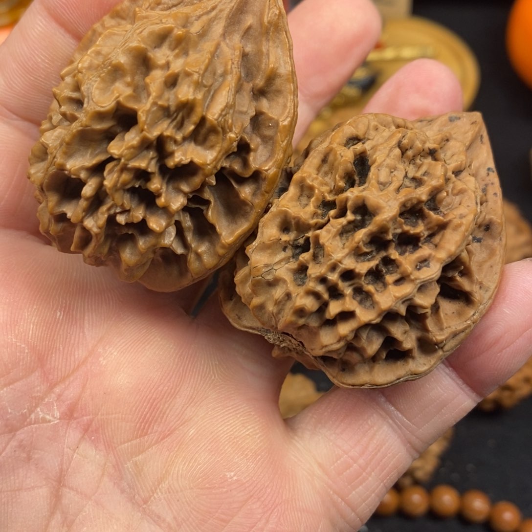 萨****熊秦岭南侧和东北北部部分的