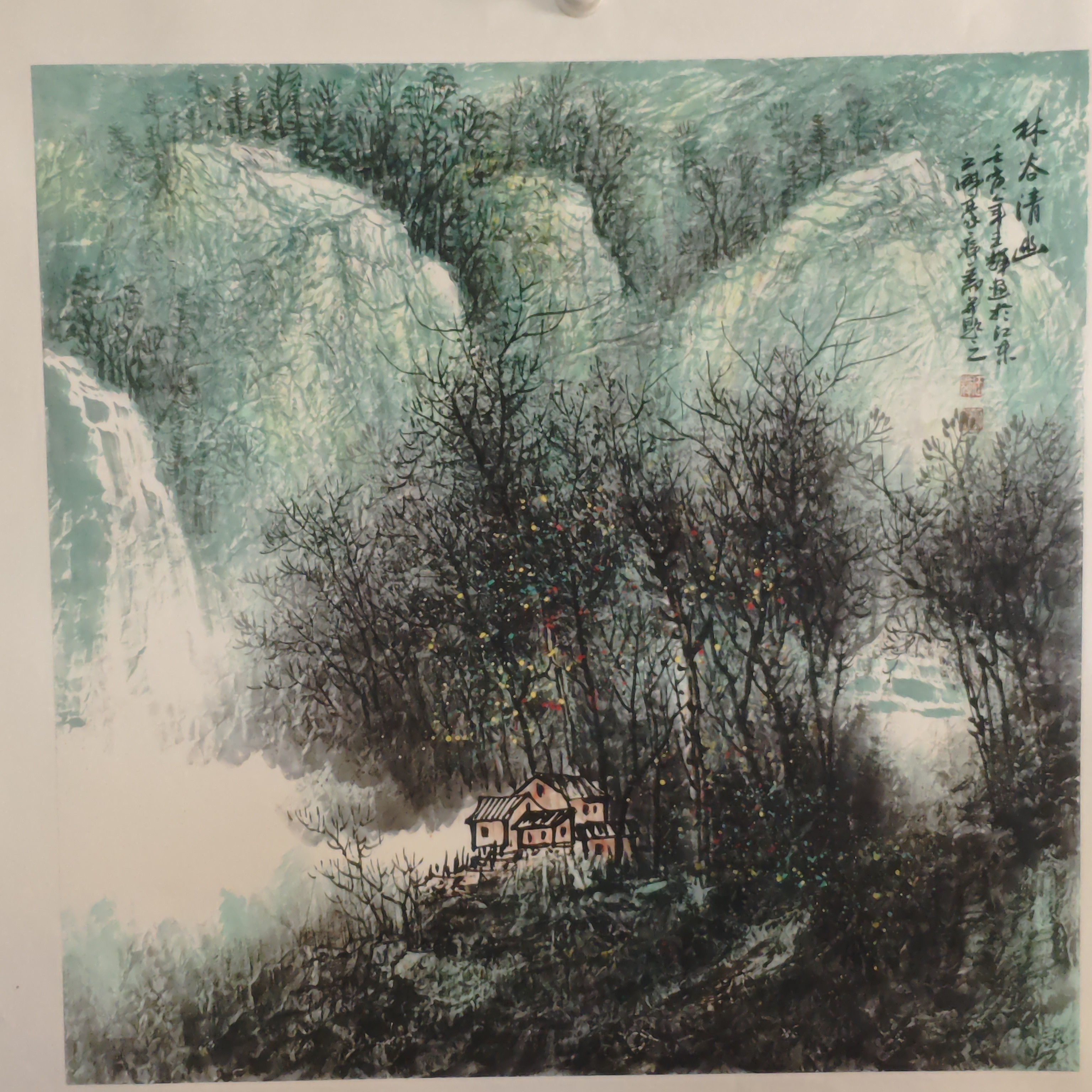 大红袍王辉老师林谷清幽