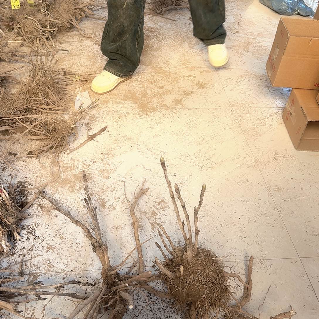 完全开放11111111