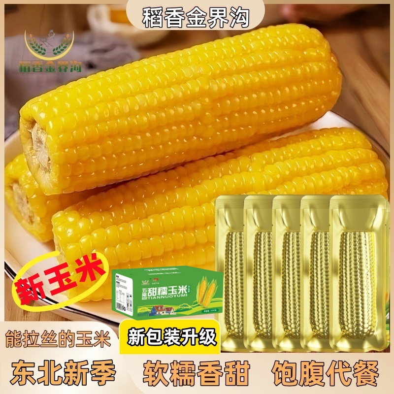 【稻香金界沟】2025新季黄糯玉米单根280g*10根香甜软糯金铝箔包装
