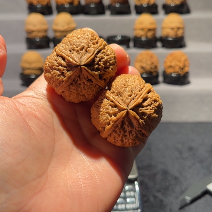 花***埃文玩核桃把件四棱