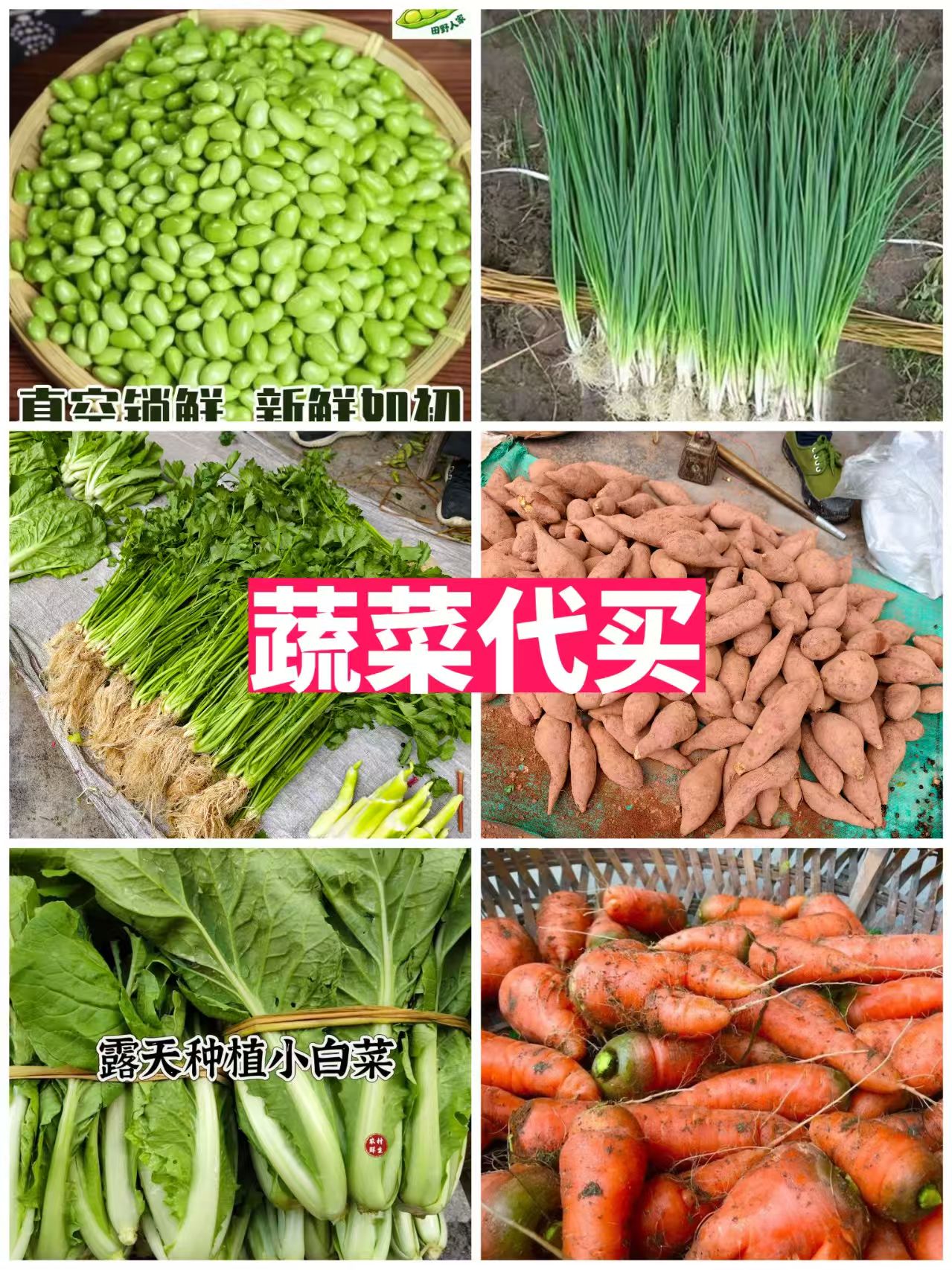 【蔬菜代买】湖南新鲜农家菜