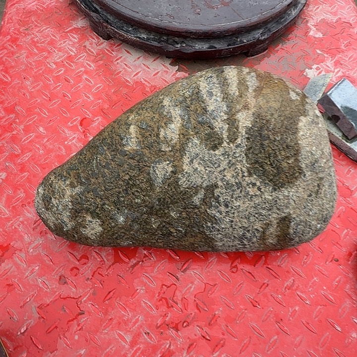 命***运蛇纹石玉未镶嵌天然原石摆件藏玉西藏