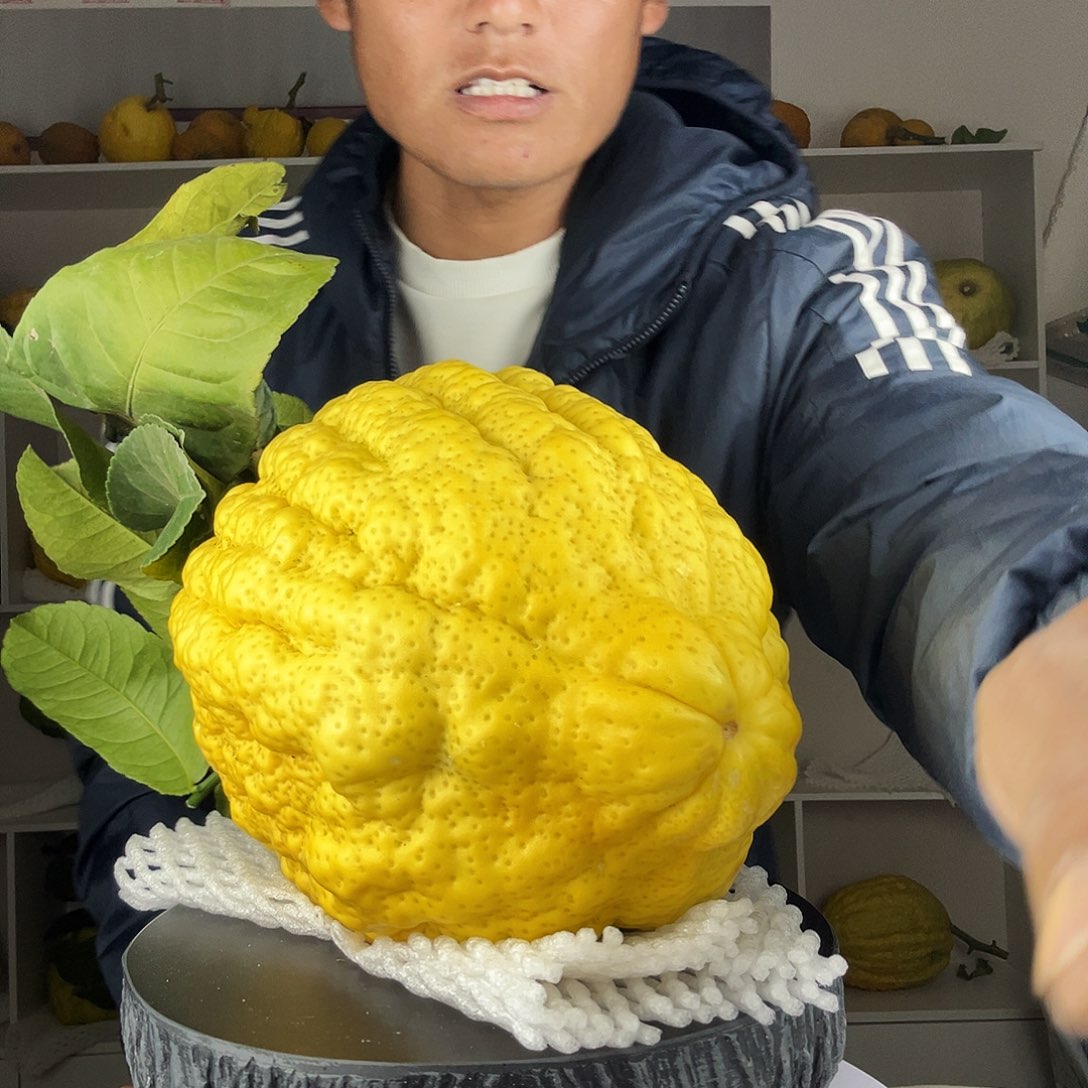 风***思香水柠檬云南高山大香橼