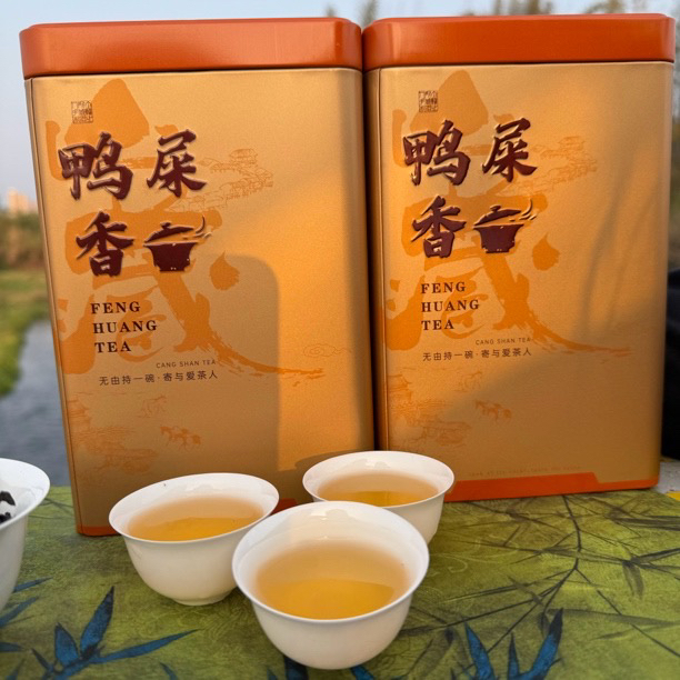 【凤凰雪片鸭屎香】山内山茶业凤凰单丛茶