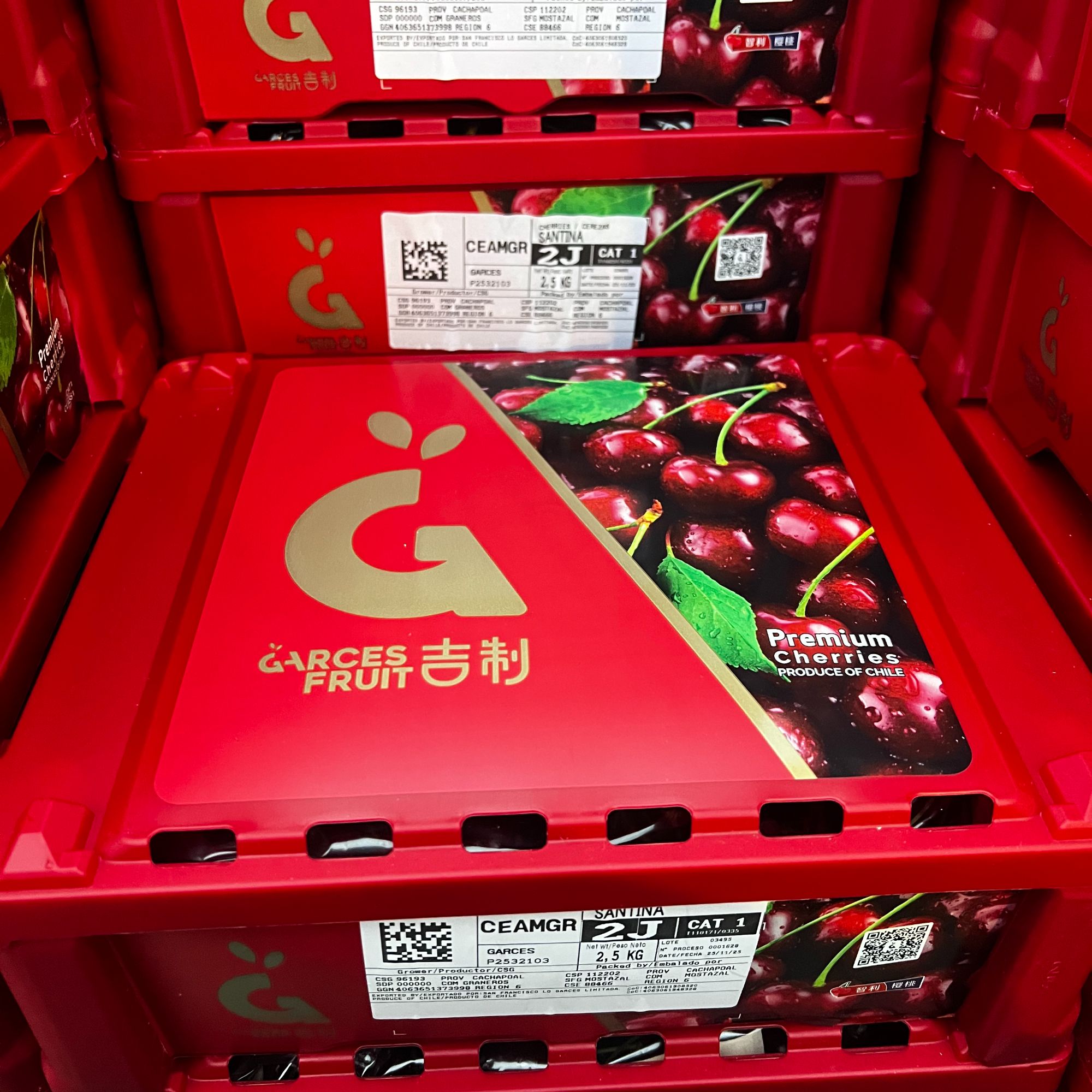 【江浙沪次日达】海运吉制小饭盒桑提娜车厘子2J净重5斤内附果径卡（11）桑提娜智利