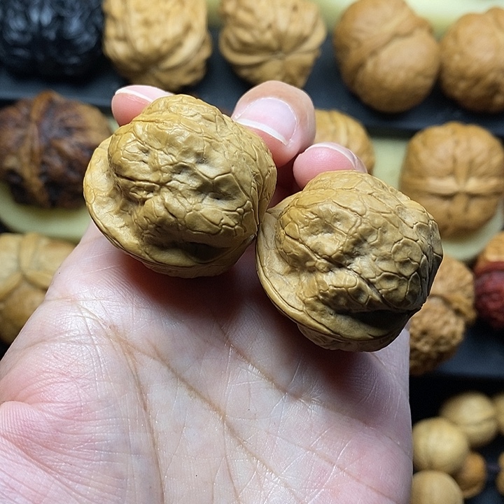 吊坠桃核铁鹦鹉33尺