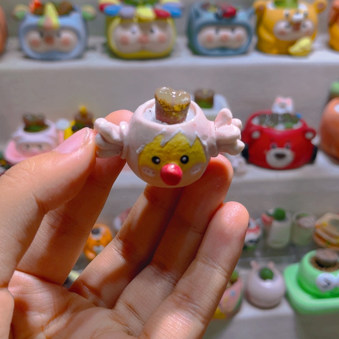 023高端多肉带盆土一套26