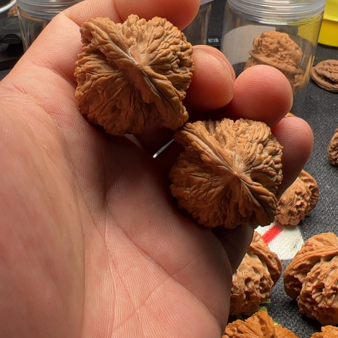 想***歌文玩核桃吊坠39麦虎，磕尖