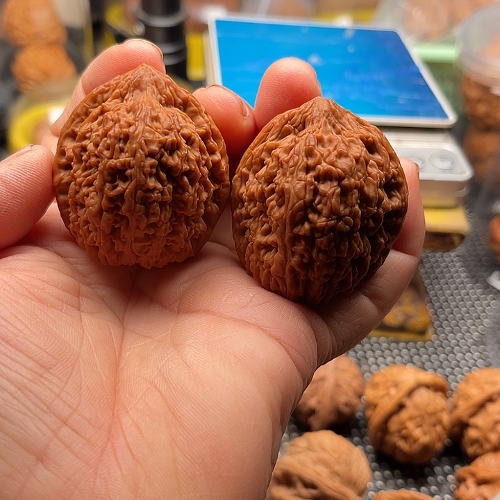 把件桃核全品大蒜头边40肚42