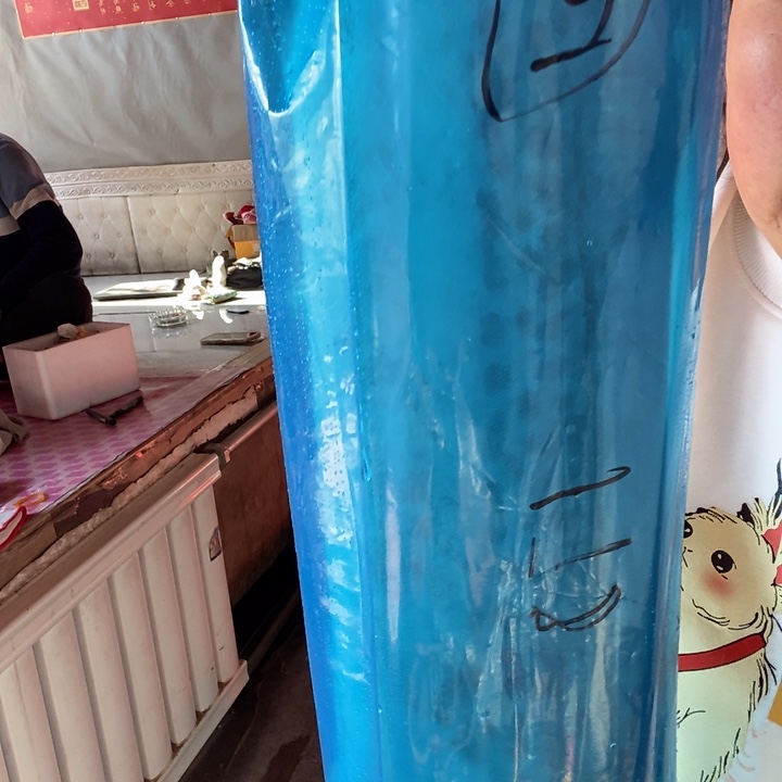 ﹌***天中国大陆渤海湾野生燕鲅鱼21号