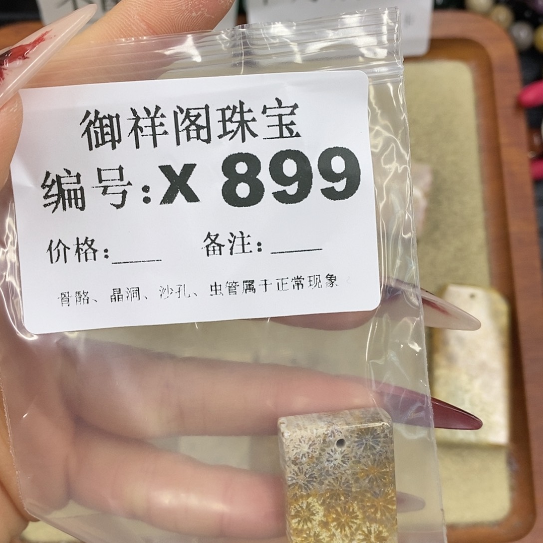 硅化珊瑚（珊瑚玉）颈饰未镶嵌ㅤ**ㅤ