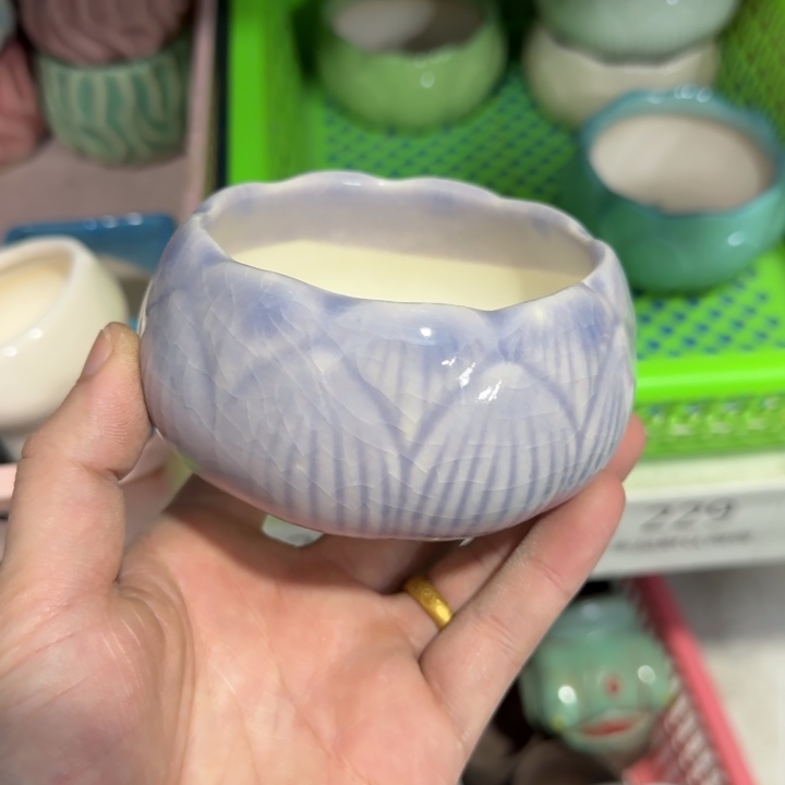 《所有单满15发（花盆）》8×5