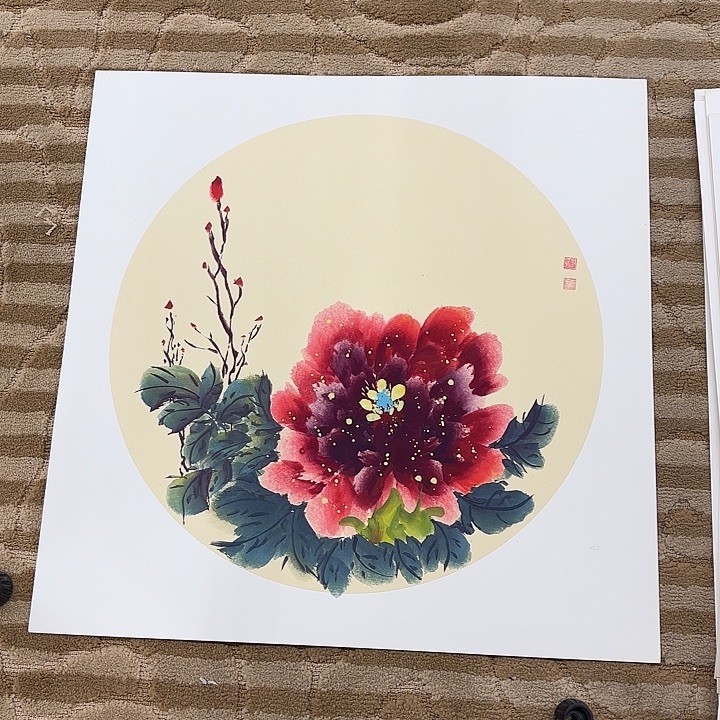 国画花鸟的翅膀和羽毛的