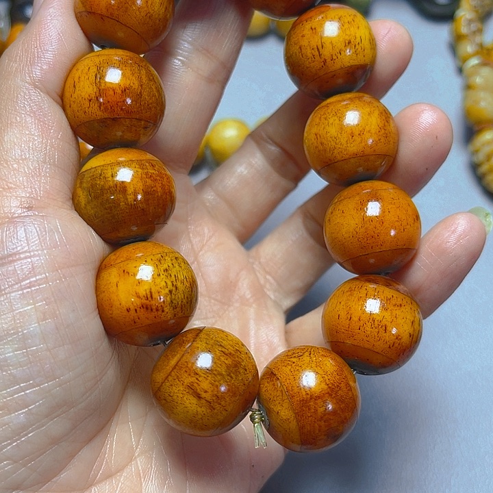 大果紫檀（缅甸花梨）