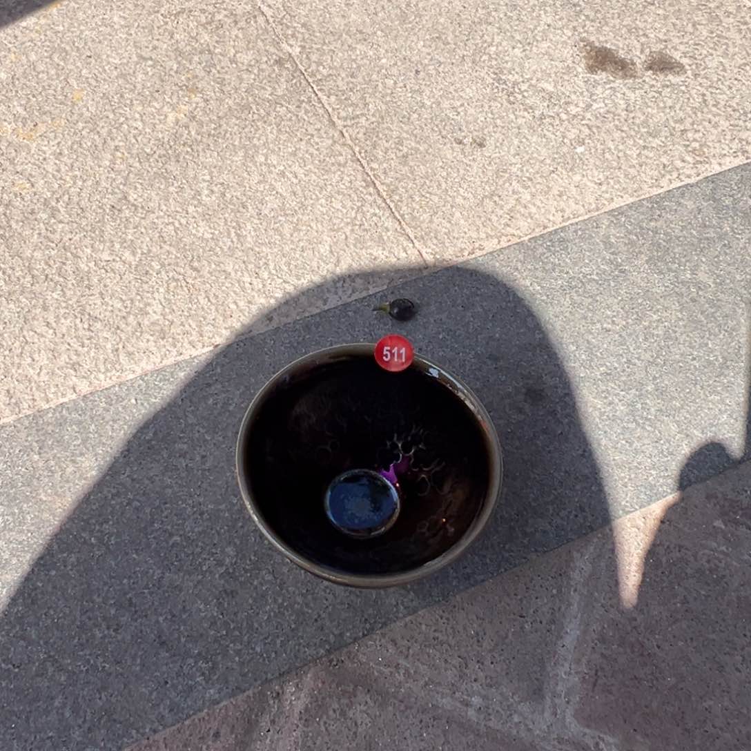 茶盏百**疏啊啊啊啊啊啊511