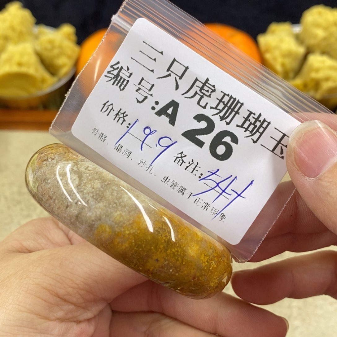 硅化珊瑚（珊瑚玉）1未镶嵌蔷*