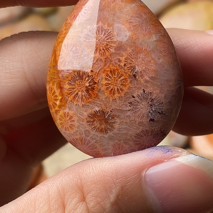 汉***林硅化珊瑚未镶嵌颈饰