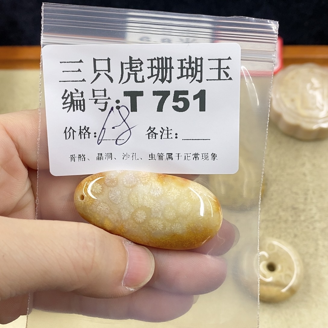 硅化珊瑚（珊瑚玉）1未镶嵌*‍****