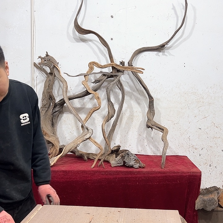 柏木就**语我们都是好孩子呀我也是