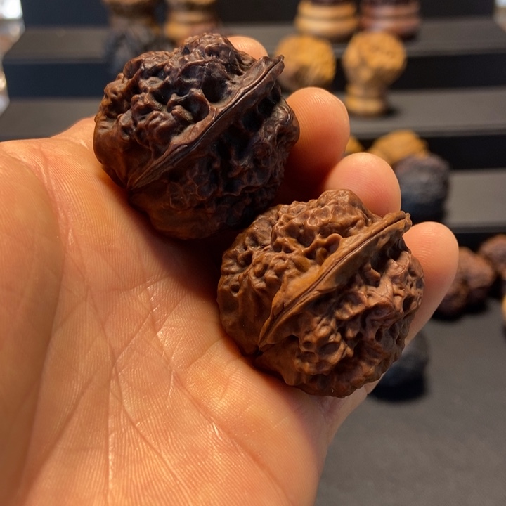 文玩核桃把件B三角龙37 mm