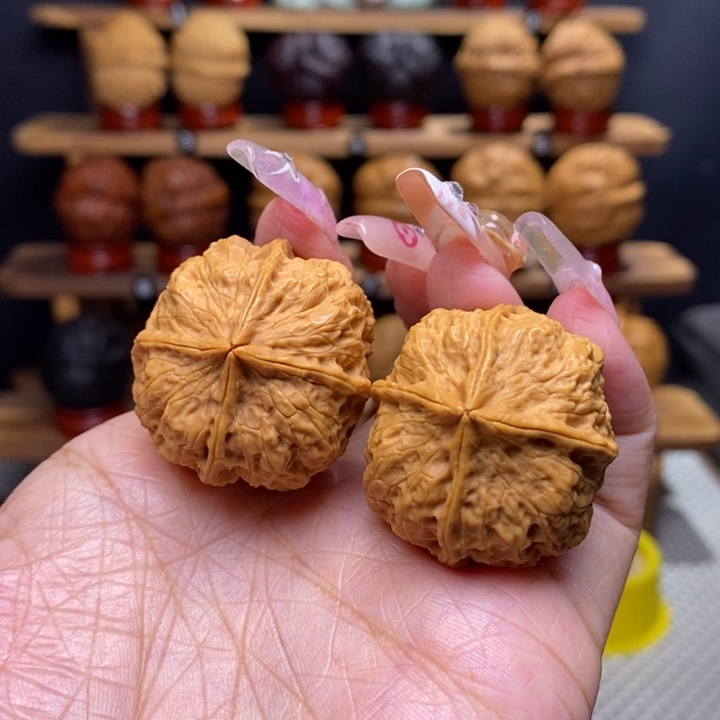 文玩核桃把件珊瑚四棱37号