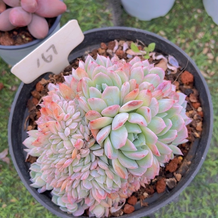 健健康康平平安安