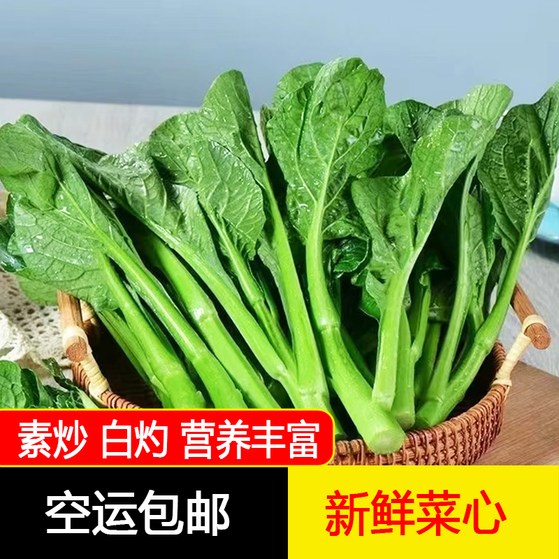新鲜甜菜心时令蔬菜菜苔青菜素炒白灼营养丰富2斤空运包邮