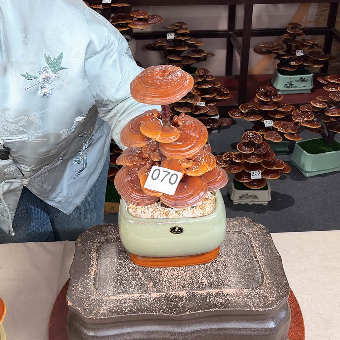 万事如意88888070