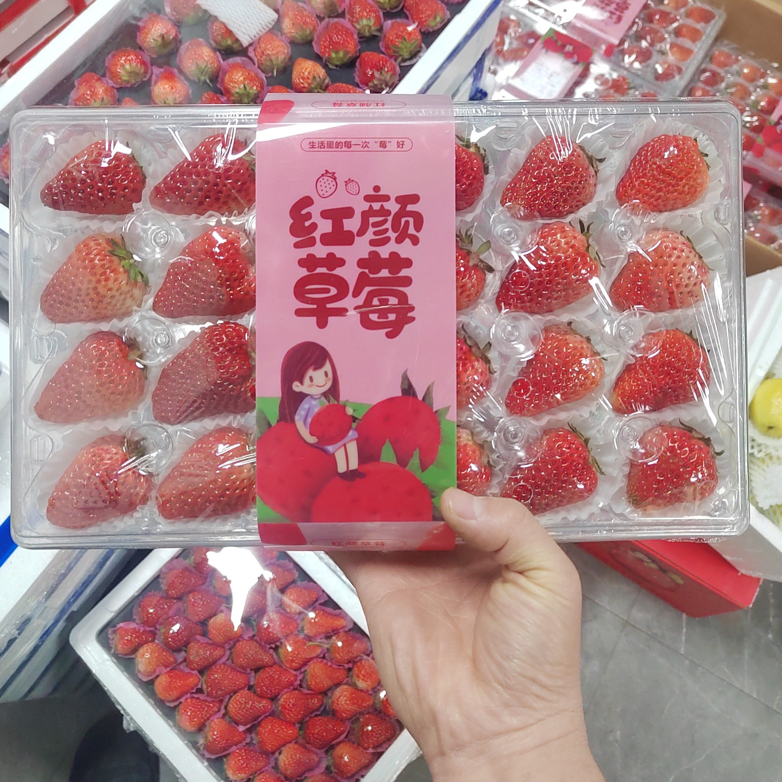 丹东红颜草莓 毛重1.2斤纯甜 不空心