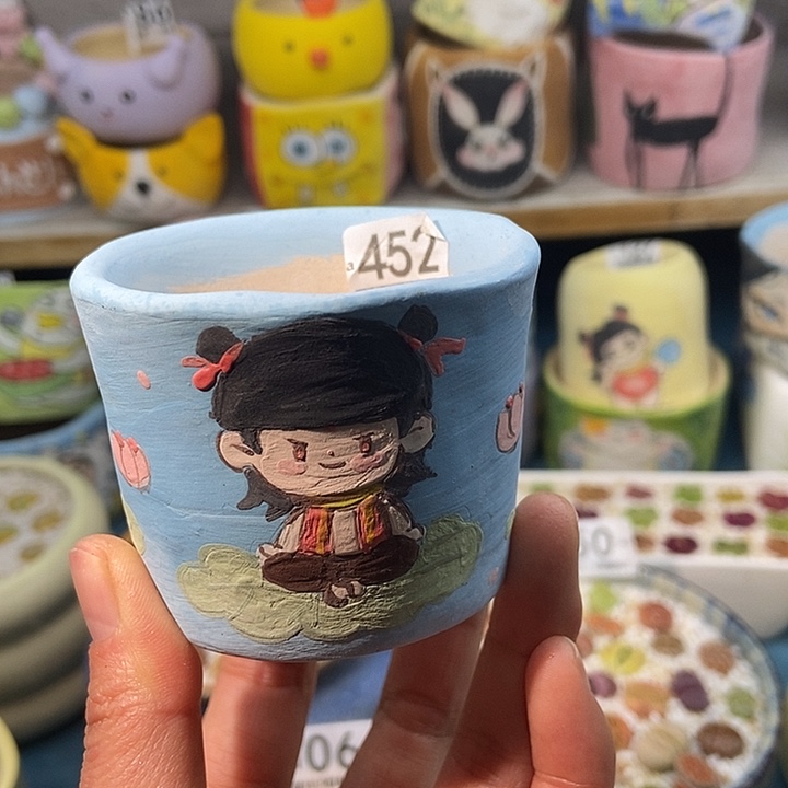 大舅生石花肉锥452