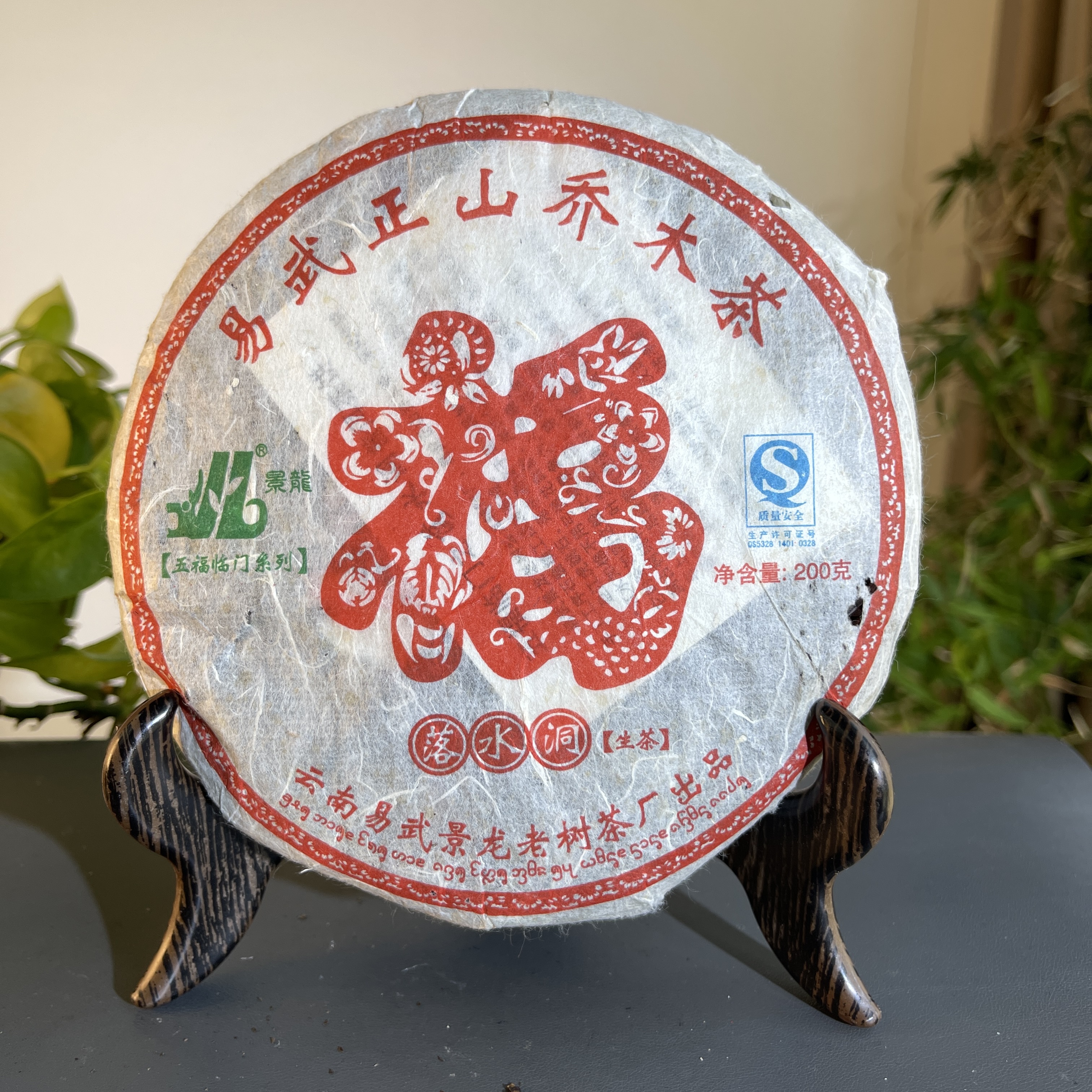JZB23-04 2009年落水洞
