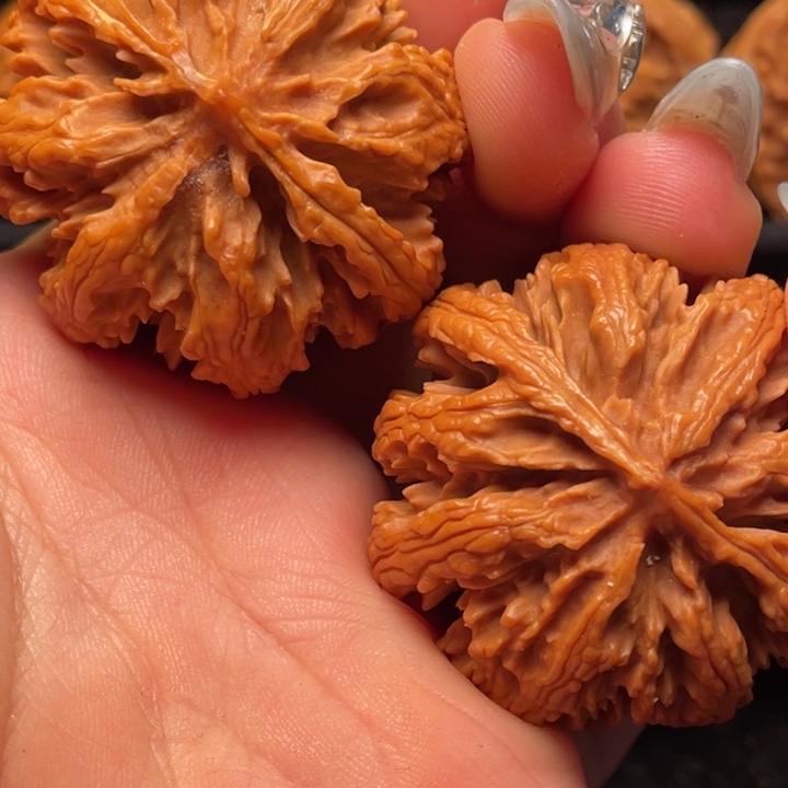 文玩核桃把件秦岭山脉核桃