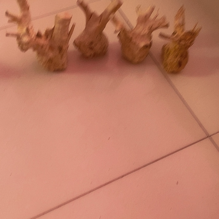 ﹎***°黄杨木等多种木材