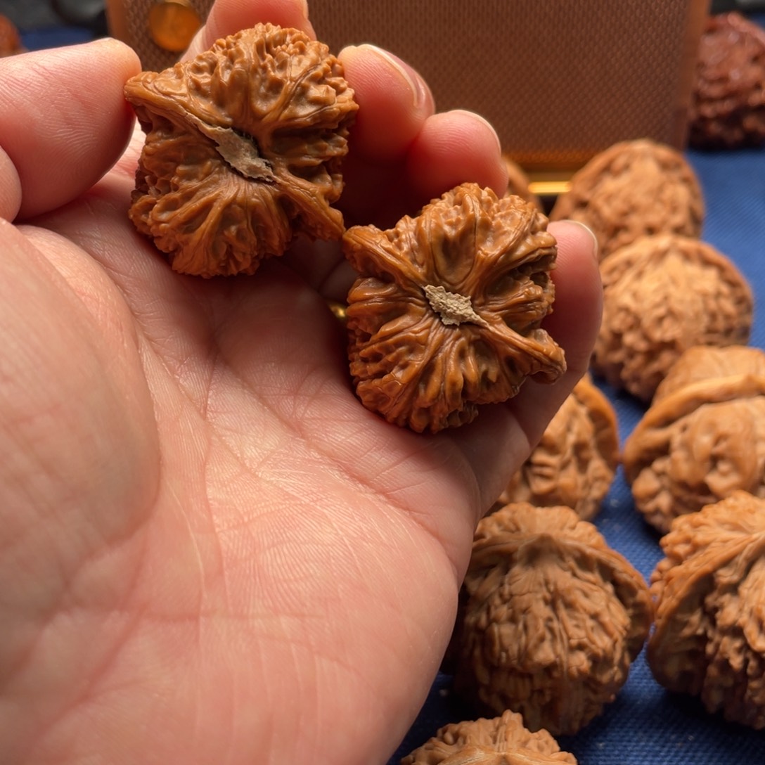 程***宁文玩核桃把件密纹