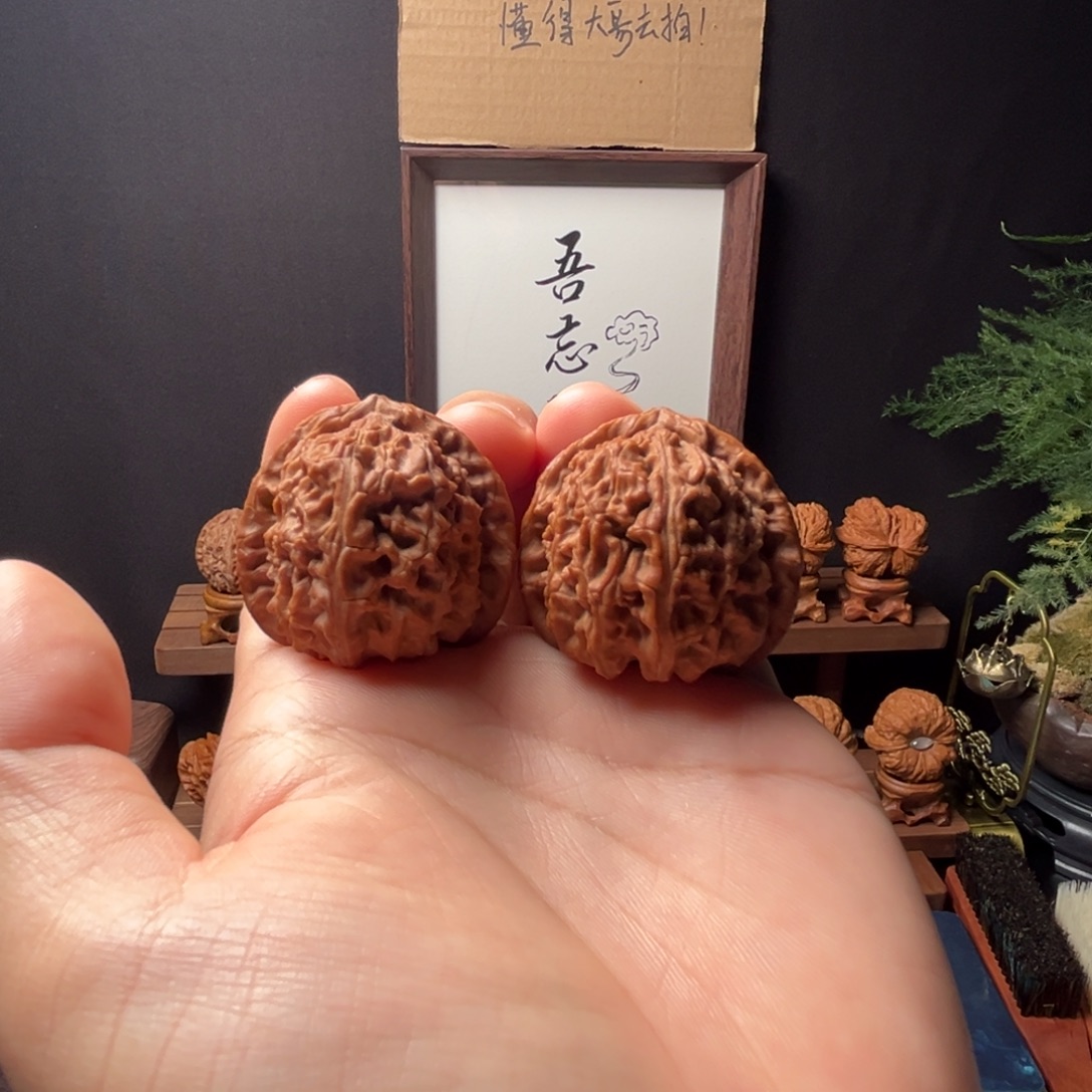 庙***型核桃39mm全品三角白
