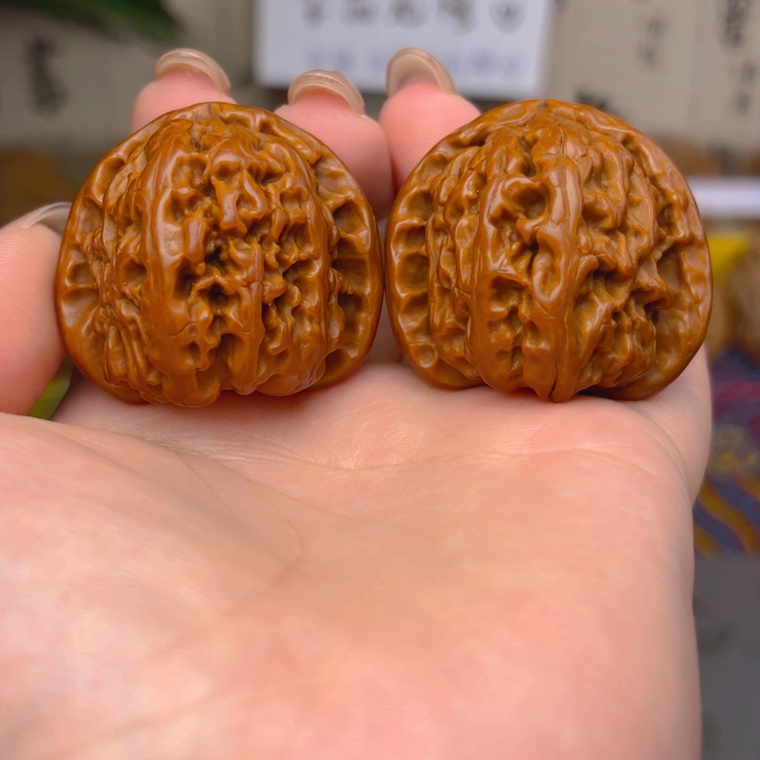 康***白狮子头三十九尺