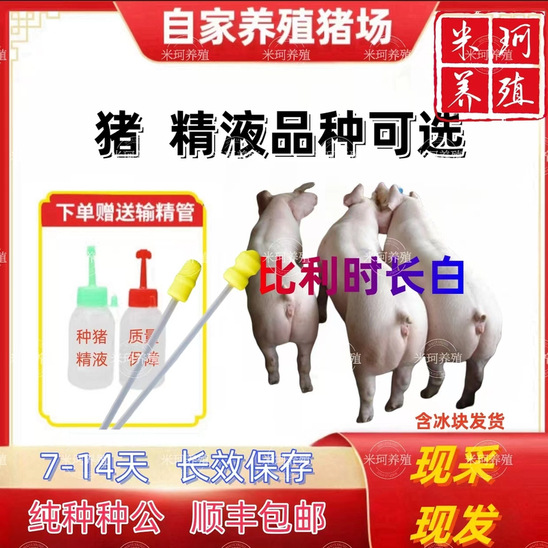 长白种公精液一件包邮包对版生态养殖批发输精管猪用耗材