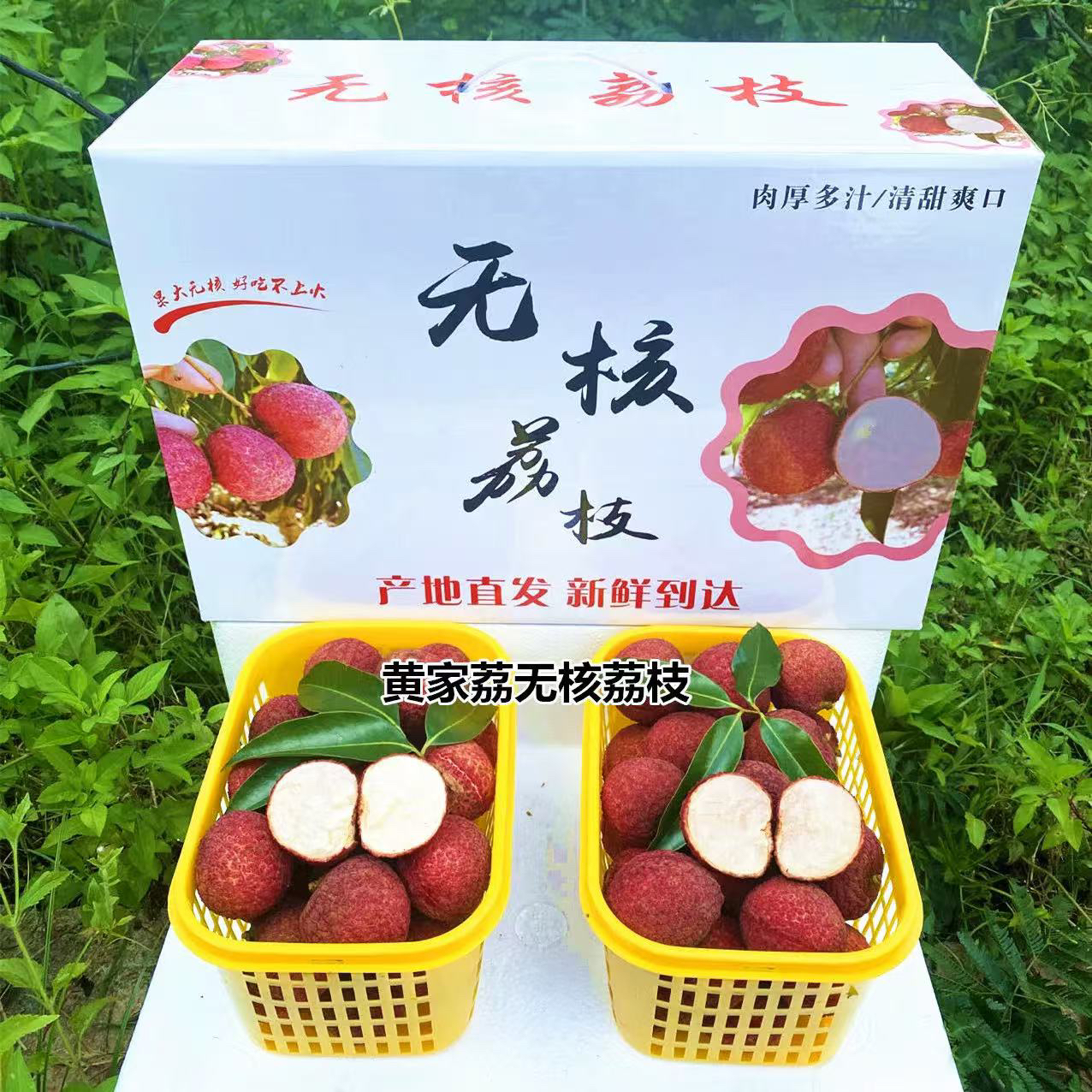 无核荔枝【顺丰冷链EMS空运】广西灵山新鲜荔枝高端礼盒当季水果