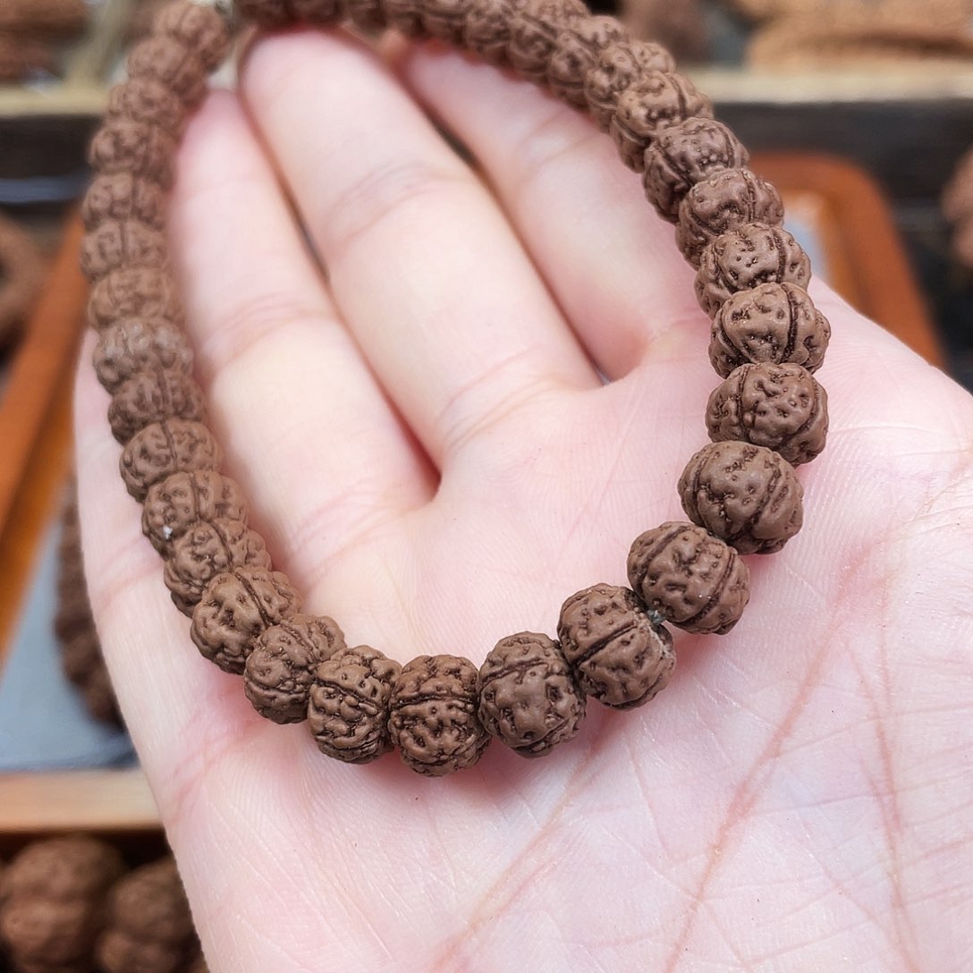 金刚菩提手串老树王8➕单圈