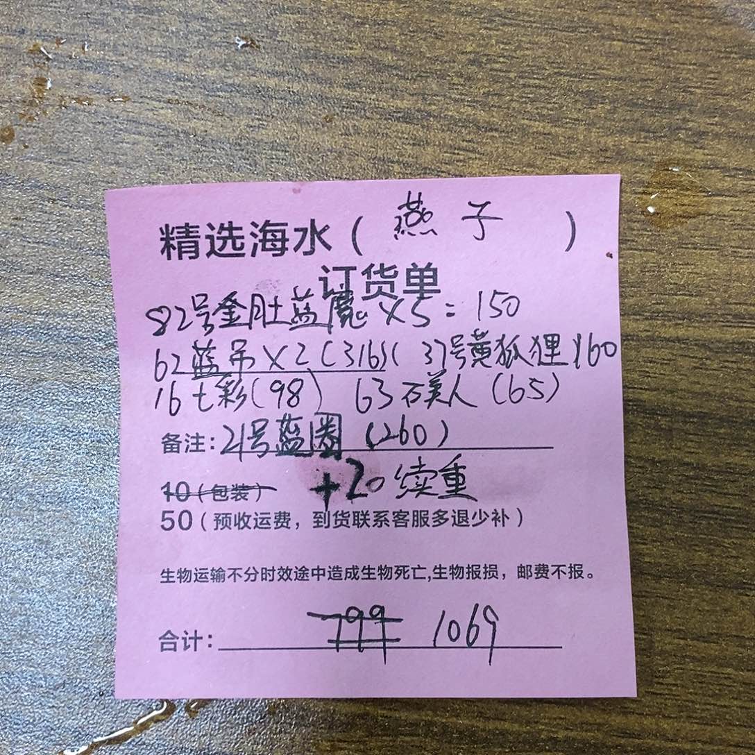 海水鱼82号金肚蓝✖️5