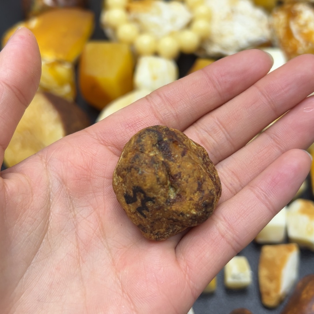 定制琥珀未镶嵌观*中蜜蜡