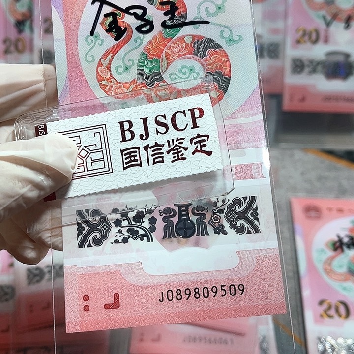 塑料089809509。。。。。。金马王